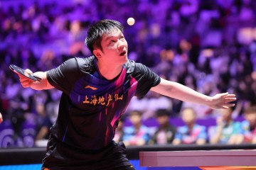 饭圈伤害难释怀，樊振东首次回应征战德甲：并非突然决定