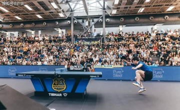 恭喜樊振东！喜提德甲生涯首胜，竞技状态回温3-1胜克罗地亚名将