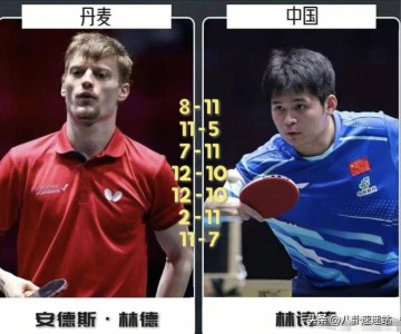 万万没想到！樊振东即将迎战德甲最强对手，是曾击败林诗栋的他