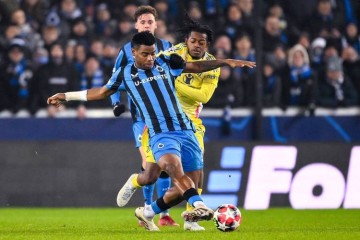 欧冠碾压局预警！拜仁主场迎战布鲁日，德甲霸主能否延续屠杀节奏？