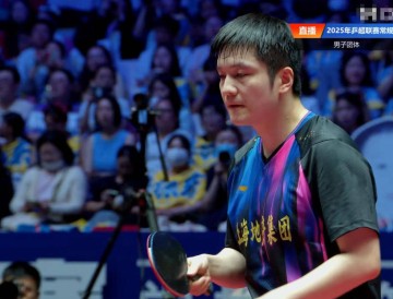 樊振东12连胜，无人能敌！德甲前一战不败，王楚钦非对手