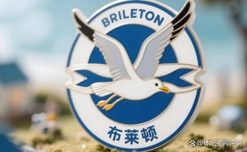 海鸥军团！切尔西砸2.7亿，直接换来欧冠+世界冠军！