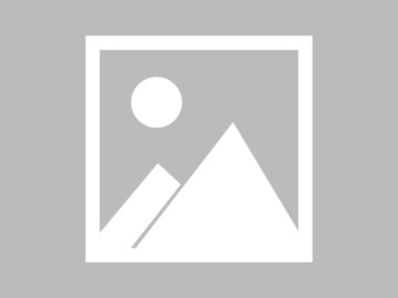 莫里斯兄弟签约新经纪人 均想争取下赛季打球机会